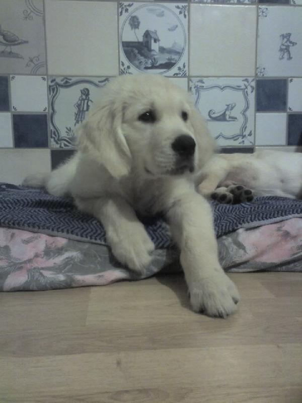 Foto: Angelo na navstevu u kamose...