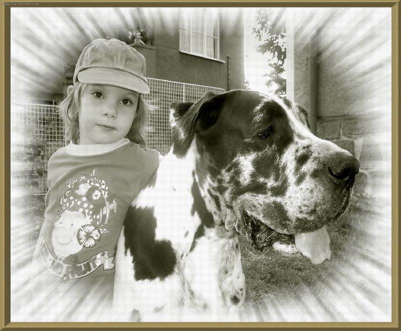 Foto: Nejupřímnější pohledy-dětský a psí