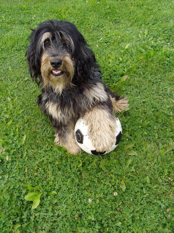 Foto: malý fotbalista