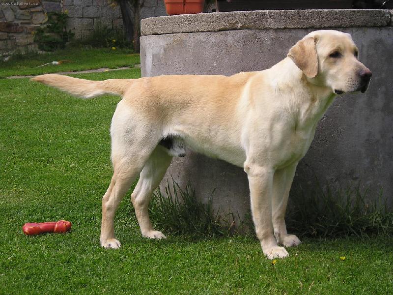 Foto: Očekávání-Kdopak to jde?