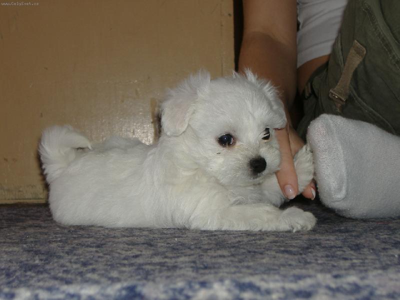 Foto: Megguš-Těší mě Meggy!!!!