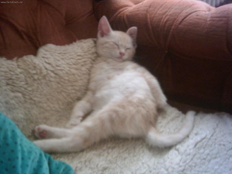 Foto: Chrrr...-Matýsek poprvé