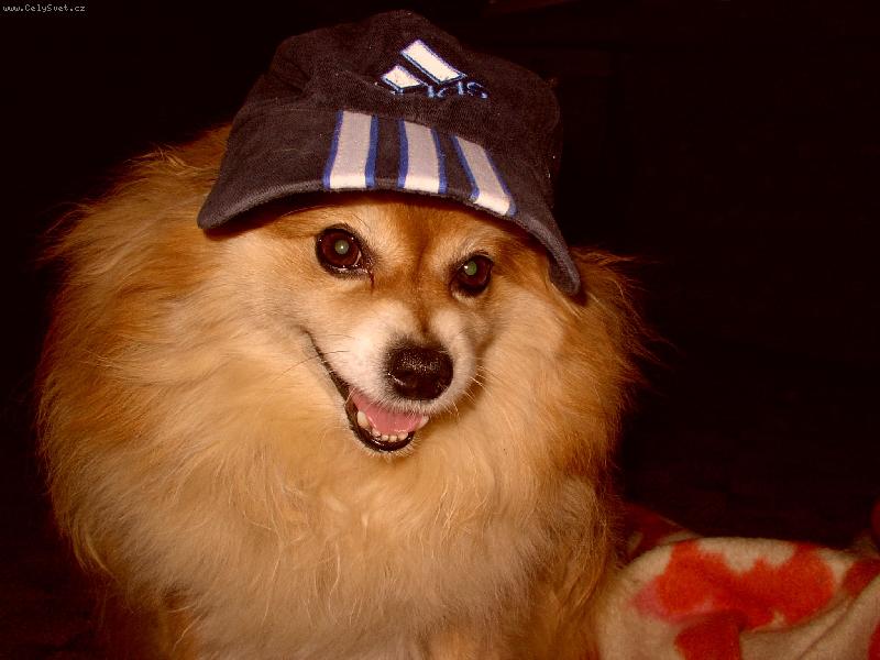 Foto: Roníček-při sportu