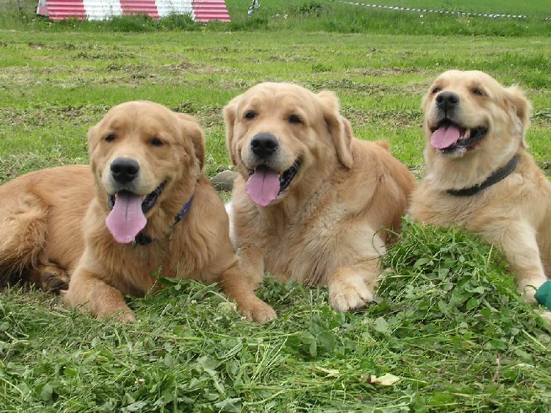 Foto: máma,syn a vnuk-máma,syn a vnuk