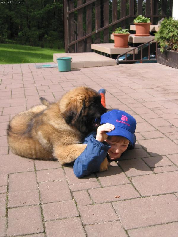 Foto: Artuš Quin. Galaxy Oss-Mám tě moc rááád!