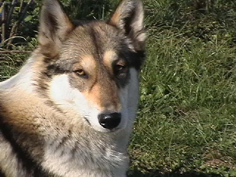 Foto: Beatrix od Katova můstku