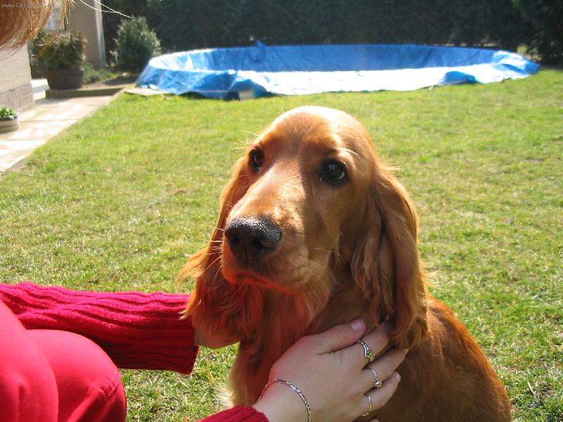 Foto: Kokřík-Dastíček