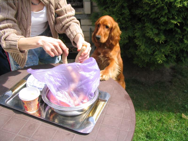 Foto: Dasty-Jé klobásky..  :-)