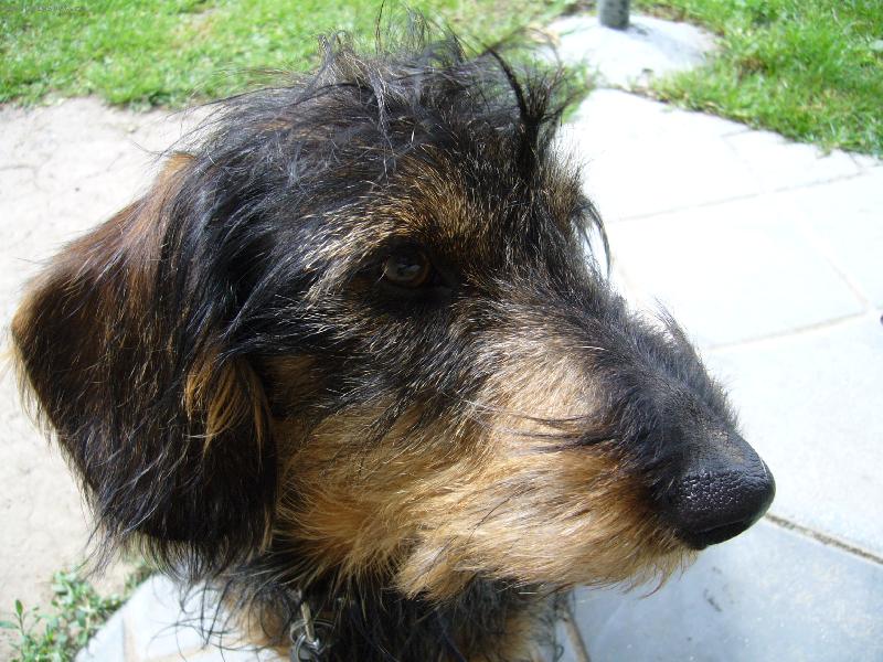 Foto: a znovu Beník