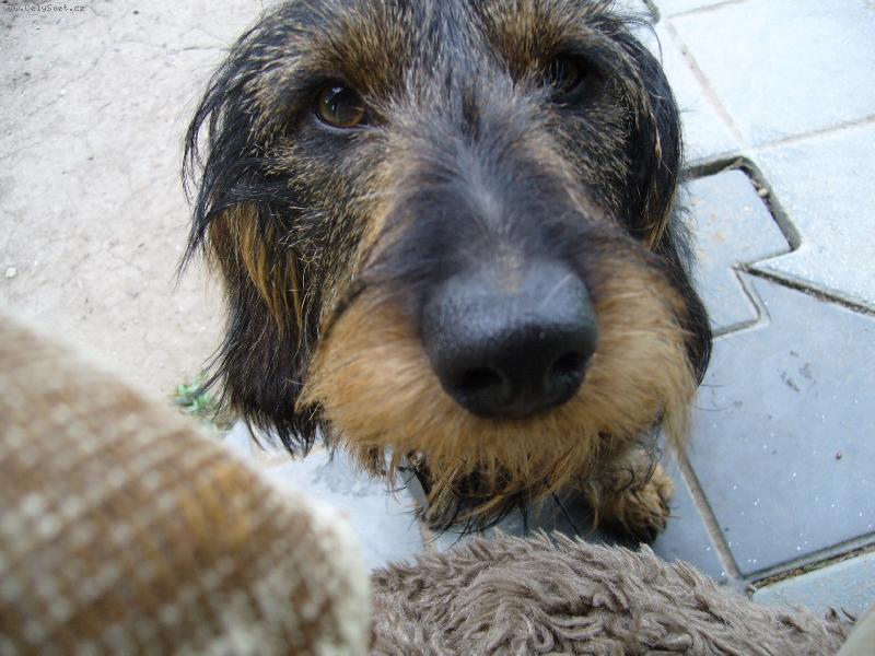 Foto: Beník-a ne Neník!