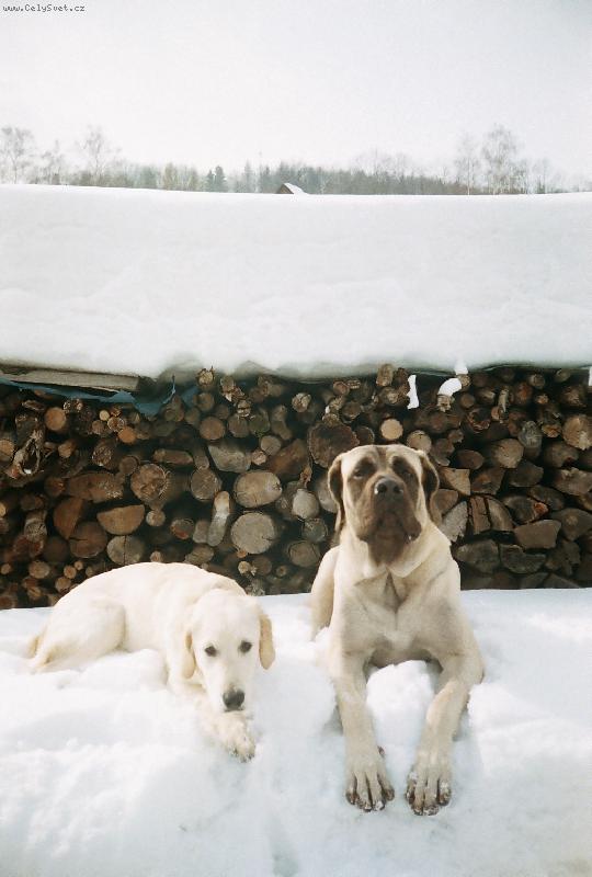 Foto: To bylo sněhu,paráda :)-Na procházce