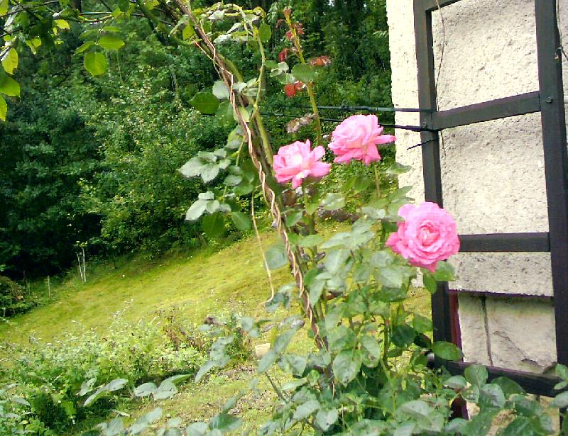 Foto: Má nejmilejší