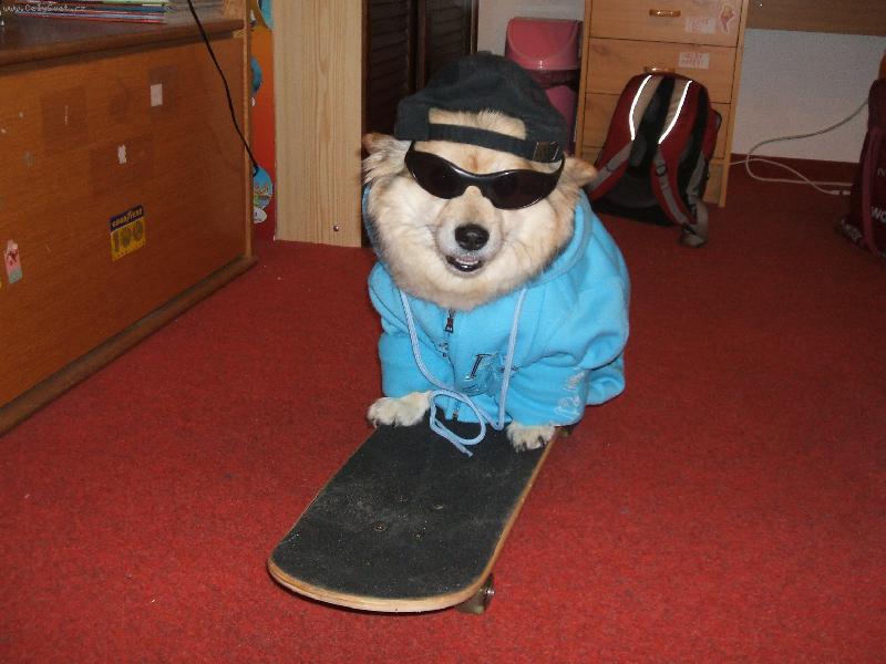 Foto: Beníček na skatu-Beníček miluje i skateboarding se svou paničkou