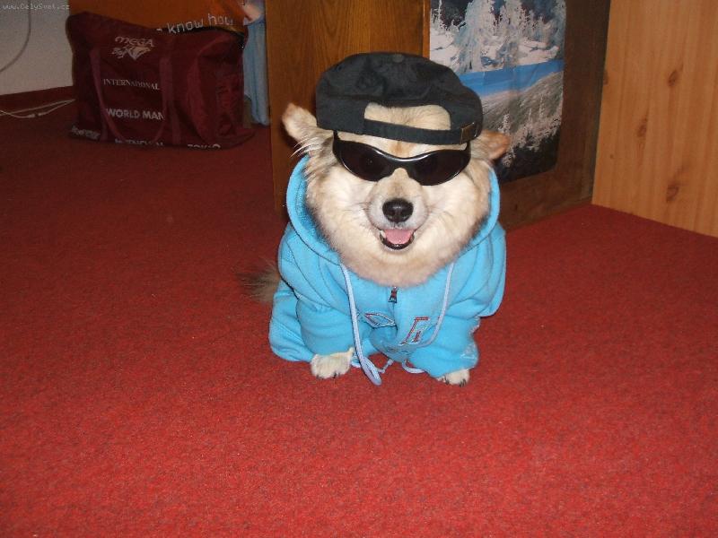 Foto: Beník na skatu-Beník a jeho panička milují skateboarding