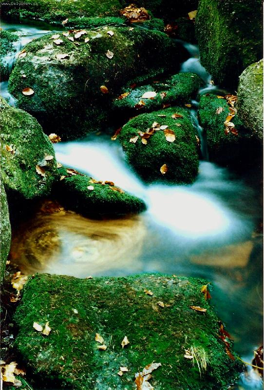 Foto: Podzimn� potok