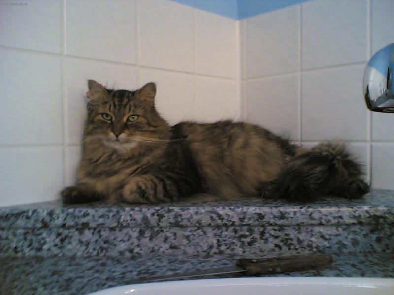 Foto: Ferda-...a teď mám přehled