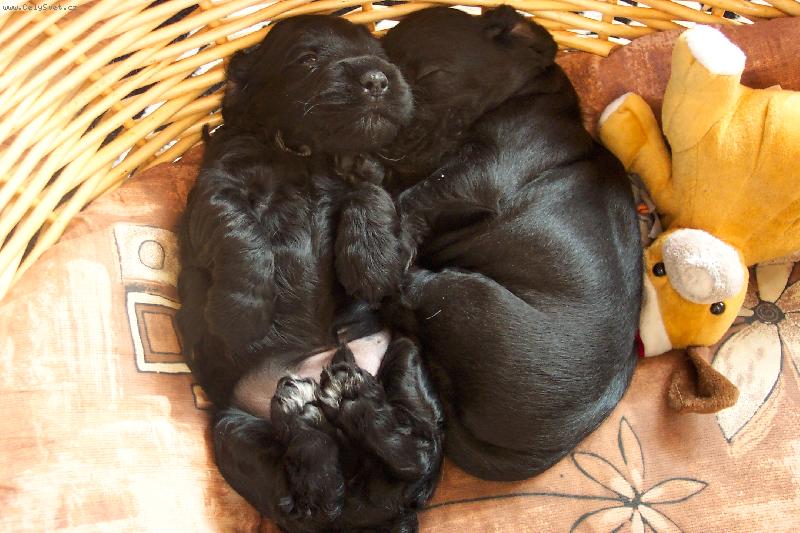 Foto: pohoda džes brácho