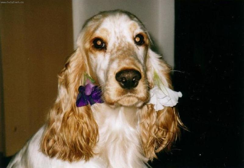 Foto: No, nejsem fešanda:-)