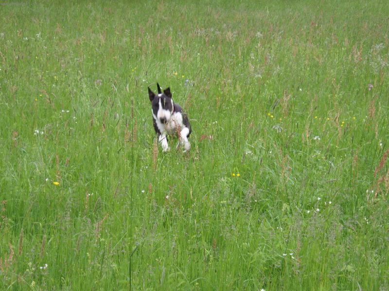 Foto: Hry v tr�v�