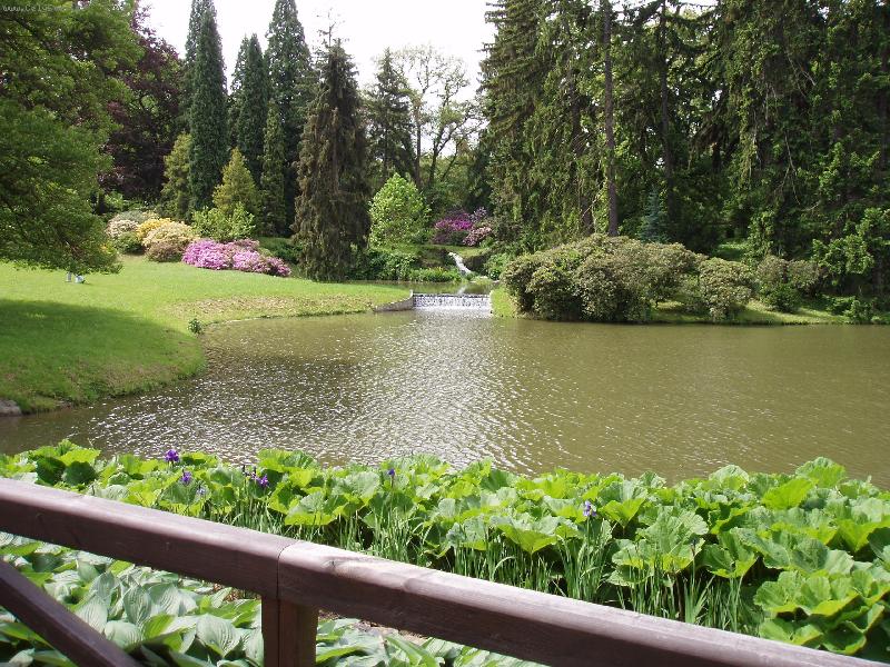 Foto: Průhonický park