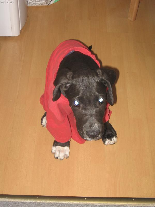 Foto: Módní přehlídka v Paříži-Kam se na mě hrabe Naomi Cambell