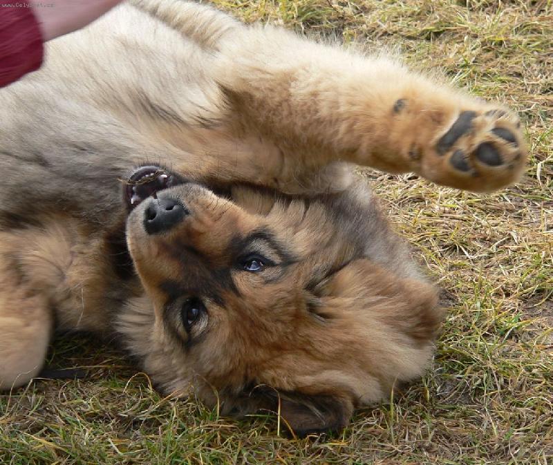 Foto: Roanda Dakynka