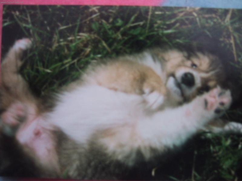 Foto: UKAŽ BŘÍŠKO !!-ADRIÁNEK