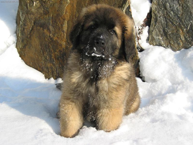 Foto: CARLOS-Když byla zima a byl jsem malý