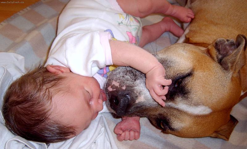 Foto: Pohoda klídek....-Ares5let a Klárka5dní...