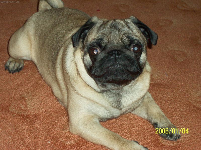 Foto: Eddy-Ležím:)