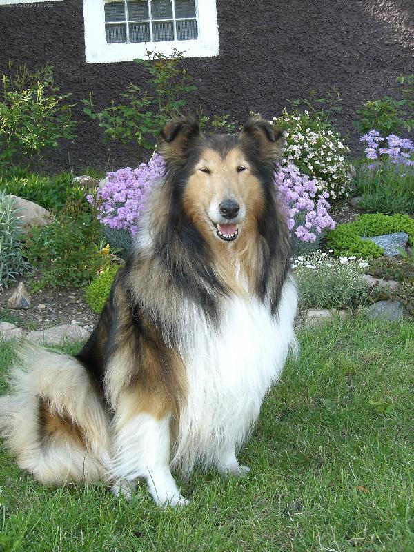 Foto: Bekuška-4.6. 2006