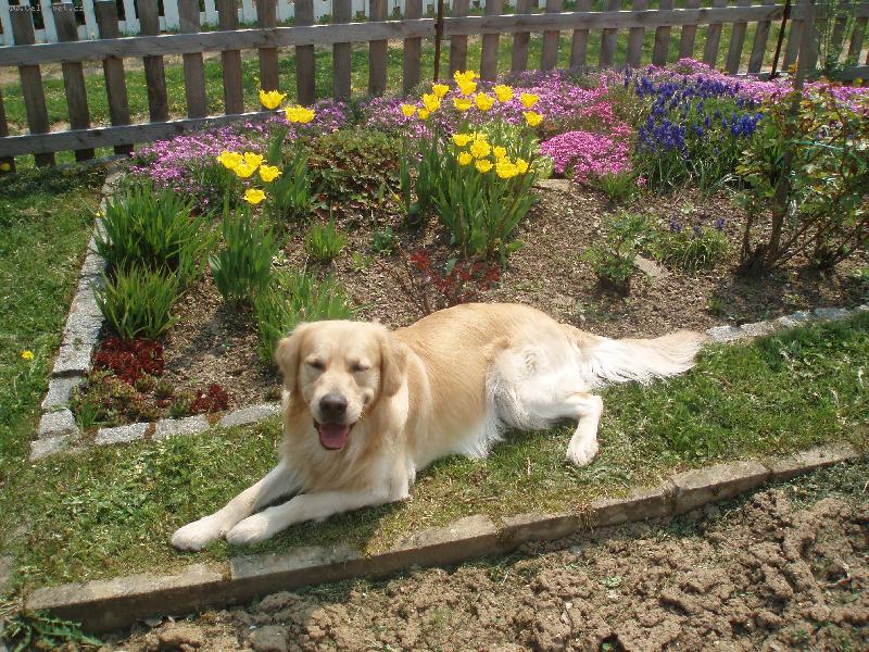 Foto: Tadeášek-Kdy už zasadíme konečně něco k jídlu?