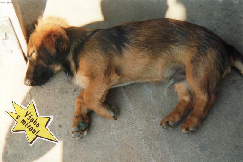 Foto: Roníček-Odpočinek