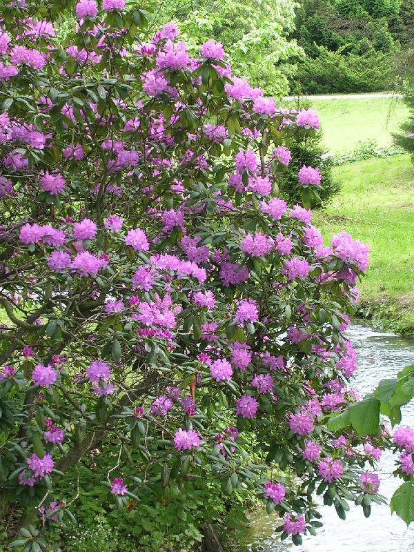 Foto: Jen se trochu napít