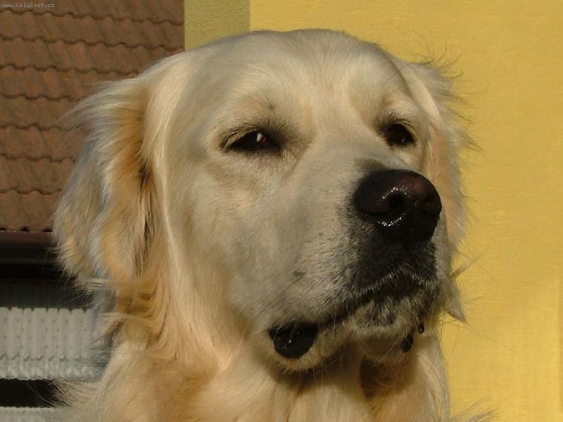 Foto: Kdy už bude večeře?