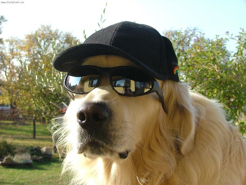 Foto: A jdeme na koupaliště.