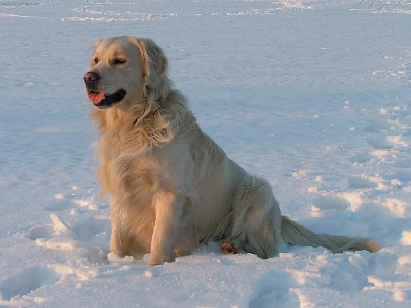 Foto: Kde mám ty lyže?