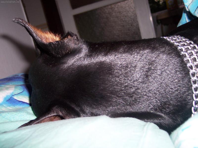 Foto: Sára-kdo to spí vedle mě?