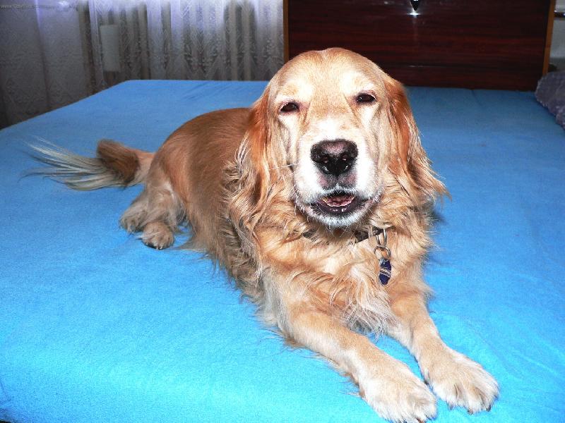 Foto: Náš miláček Ferda-Panasonic FZ20