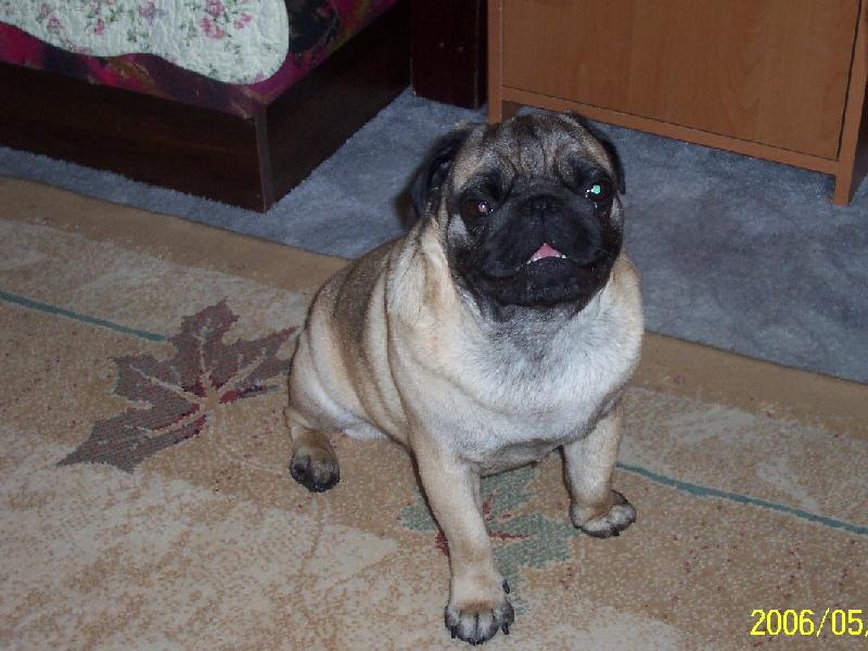 Foto: Eddy-Edynkovi bylo trošku horko:-)