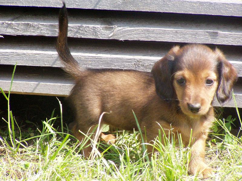 Foto: Princezna-Rozkoukávám se