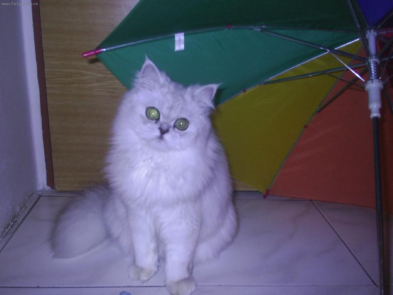 Foto: Prší a prší-Nějak se rozpšelo!!!