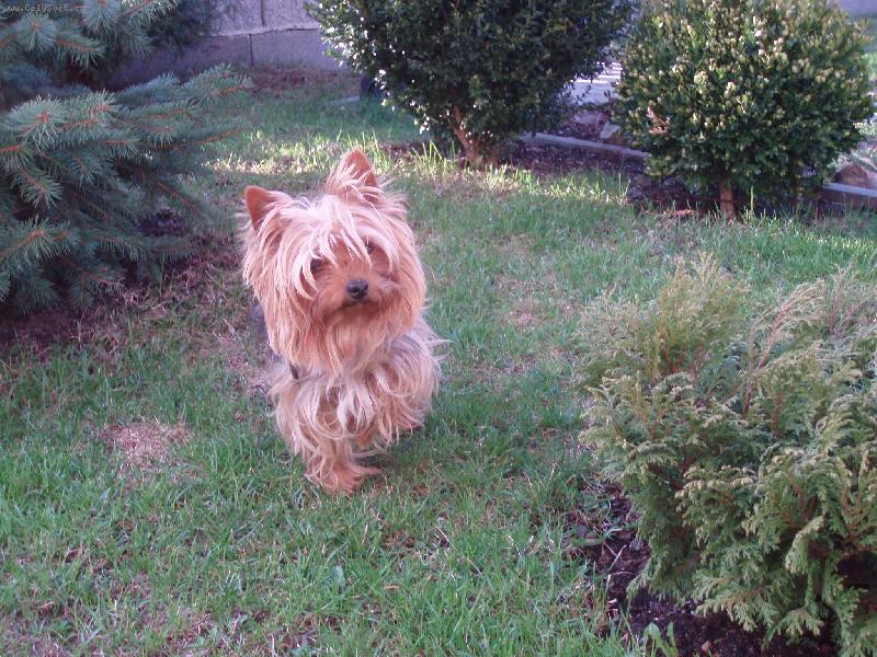 Foto: Samanta-na zahradě