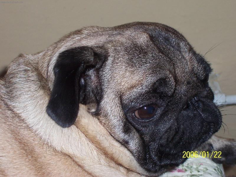 Foto: Eddy-Jsem smutný:(