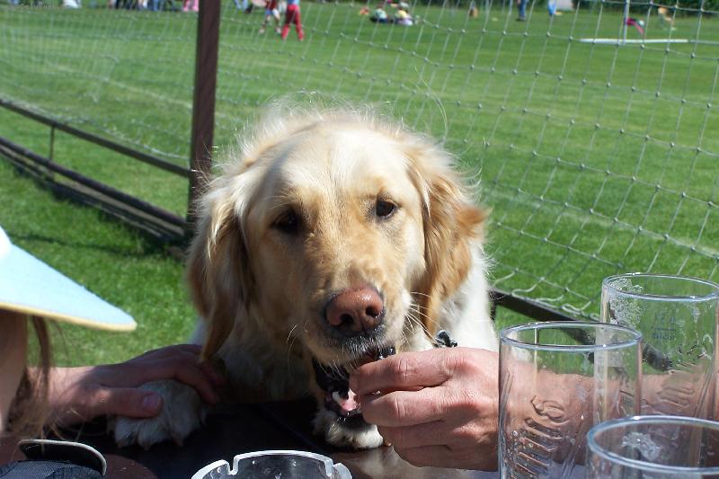 Foto: Sára-děkuji už jsem měla hlad
