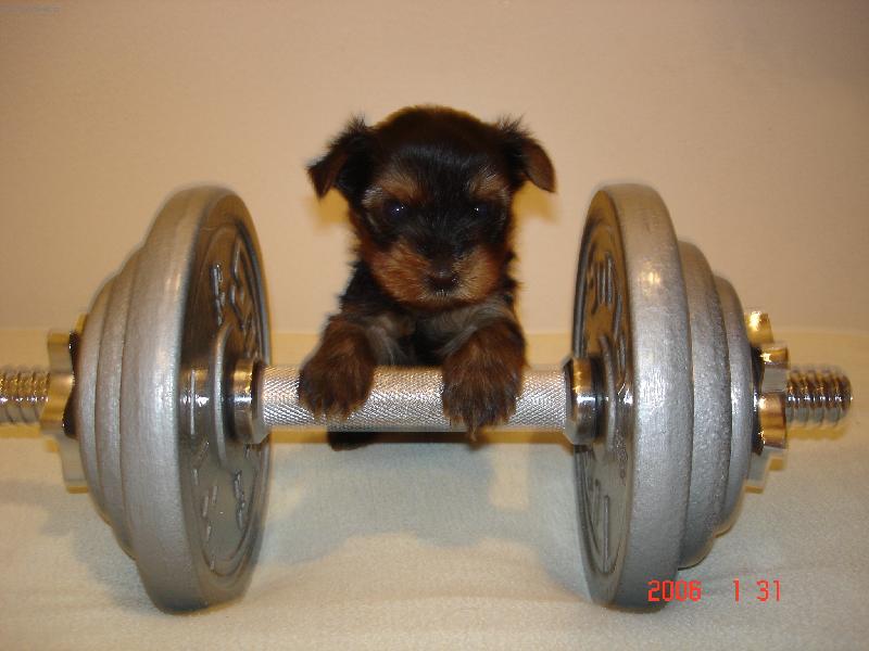 Foto: V pondělí mám první trénink...