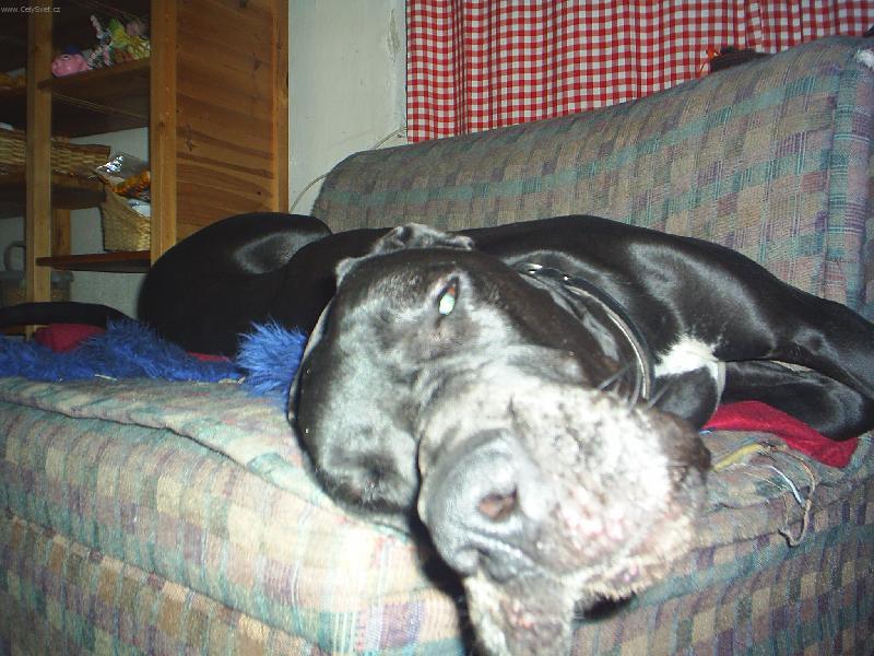 Foto: Caramelka-Nerušit spím...!