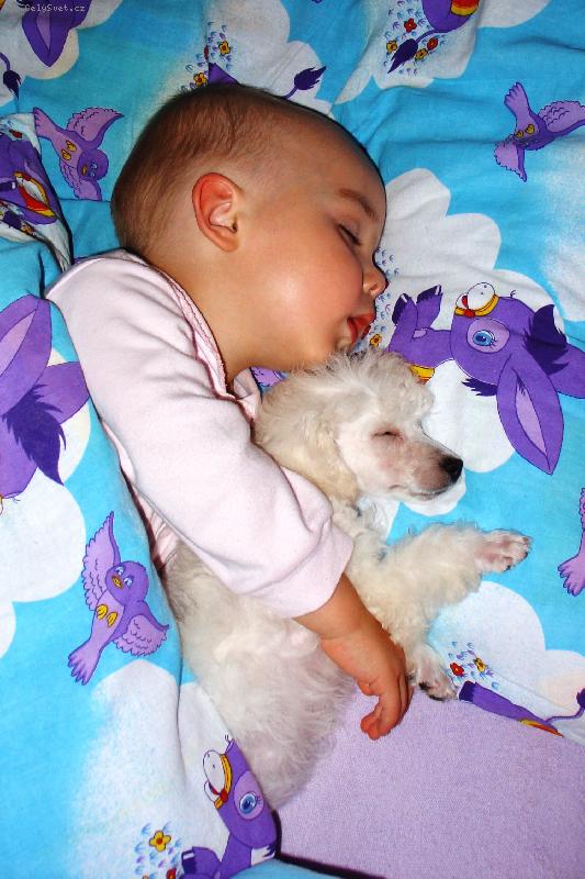 Foto: dva malí kamarádi