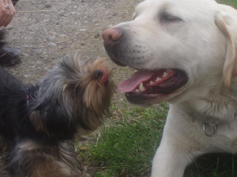 Foto: Dej mi pusu...