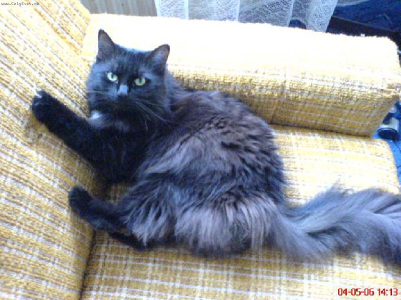 Foto: náš mazlíček